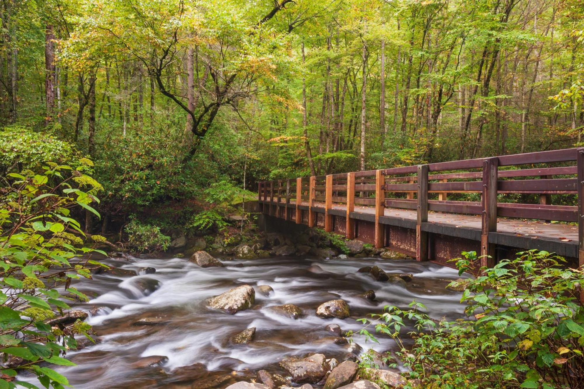 Smoky Bear Lodge With Guest House, Hot Tub, 1089 Free Tickets Each Paid Day, Dollywood And More Сивиървил Екстериор снимка